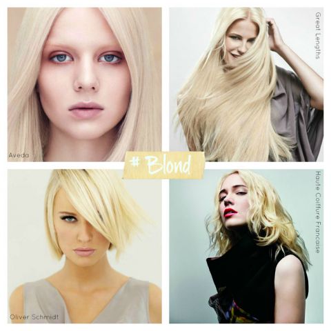 blond_collage_mit_text_und_stylist_kopie-1.jpg